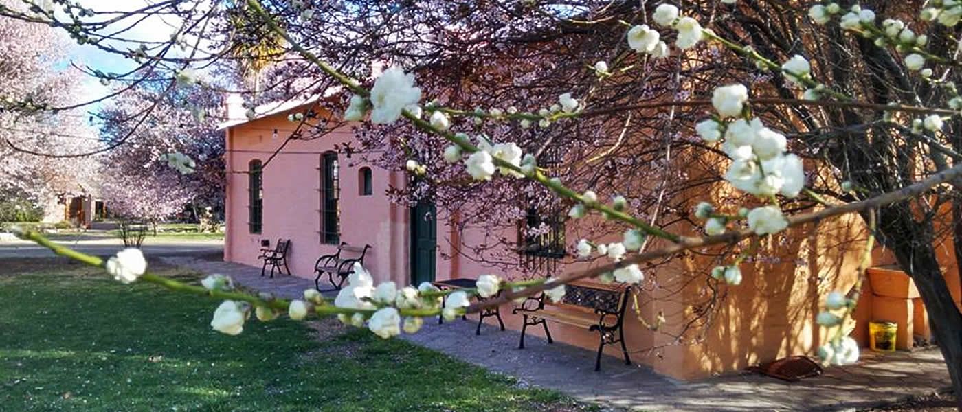 Posada Los Mimbres